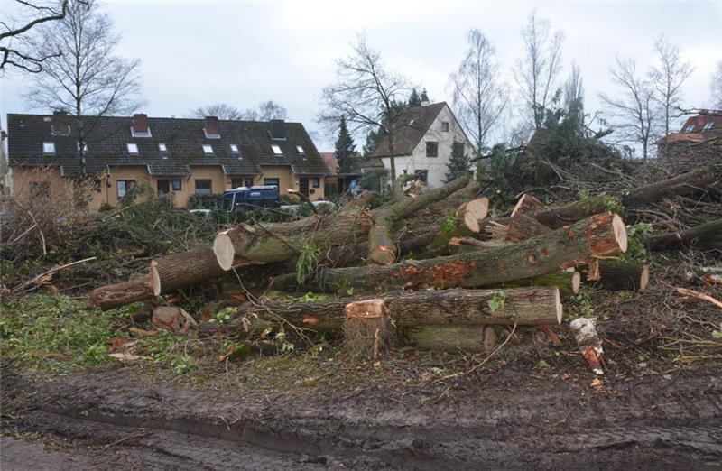 100 Bäume am Ottensener Weg mussten gefällt werden, um neue Parkflächen am Krankenhaus in Buxtehude zu schaffen. Foto: Stephan