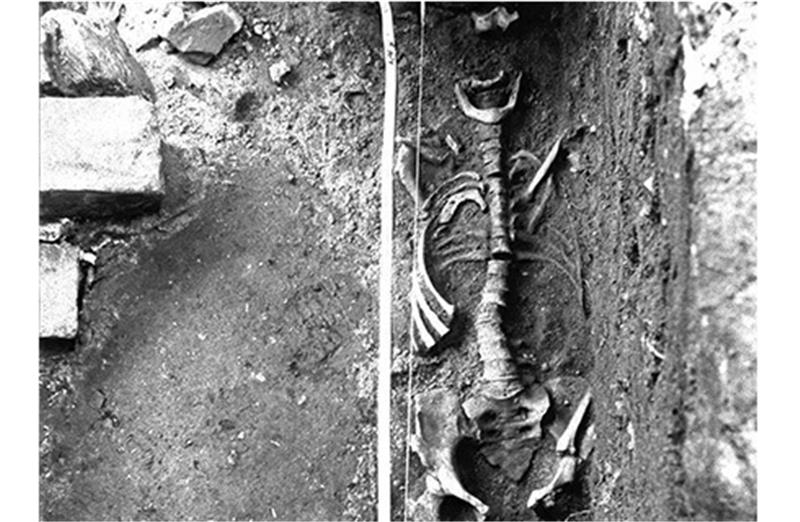 Ausgrabung am Liebfrauenkirchhof: Befund mit einem erhaltenen Skelett.  Foto Denkmalpflege Buxtehude