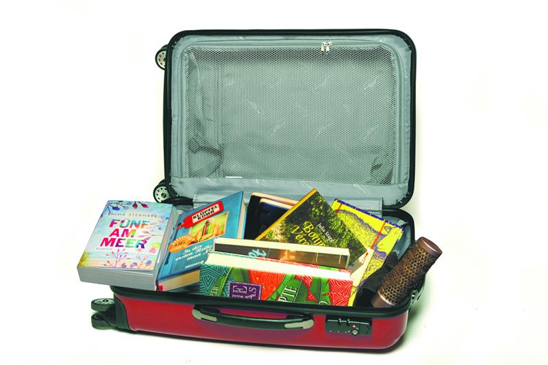 Empfehlungen für den Urlaub: Diese Bücher gehören ins Gepäck