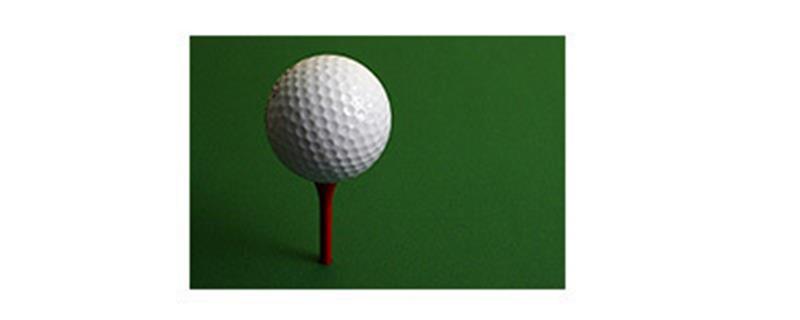 Golfer erspielen stolze Summe