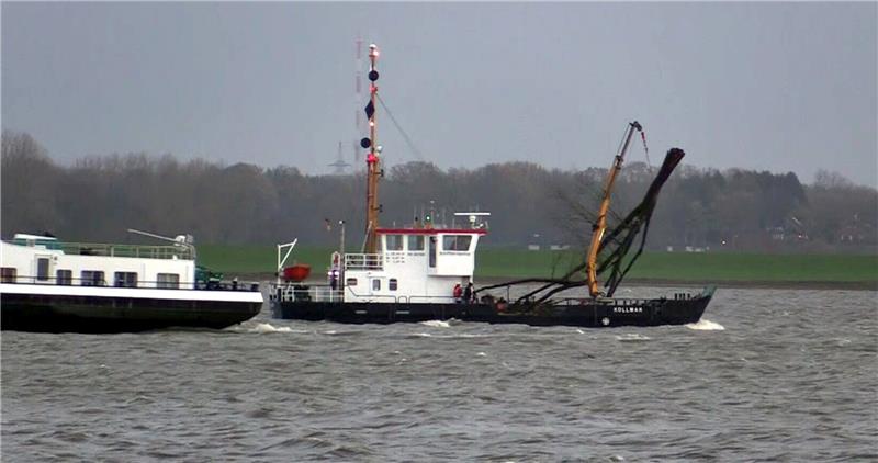 Das Wasser- und Schifffahrtsamt holte den Baum aus der Elbe. Foto Hellwig