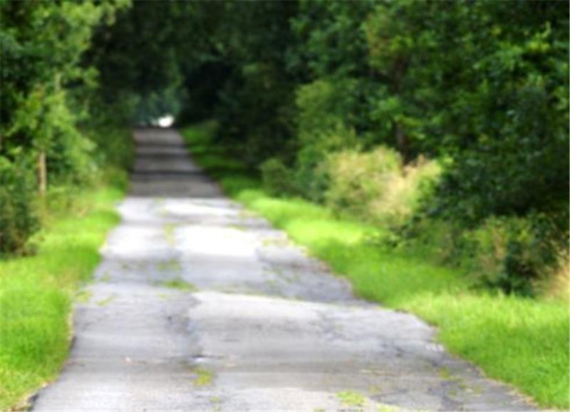 Der Willaher Moorweg ist marode. Foto: Kordländer