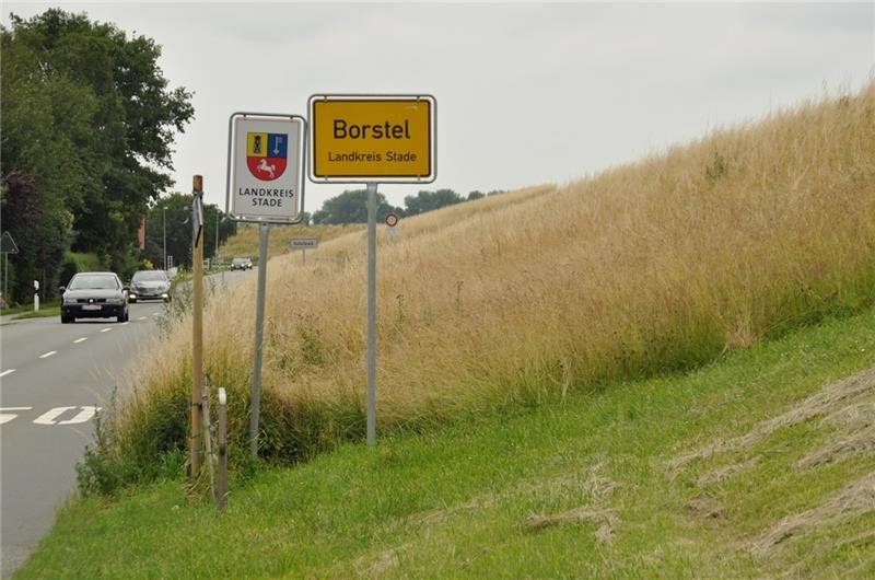 Die Landesgrenze, die zwischen Hamburg-Cranz und Jork-Borstel durch den Elbdeich verläuft, ist anhand der Graslänge gut zu erkennen. Foto Hamann