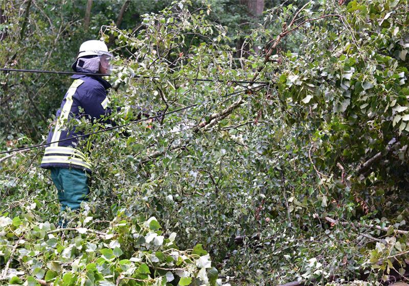 Ein Feuerwehrmann zersägt einen umgestürzten Baum. Foto: Beneke