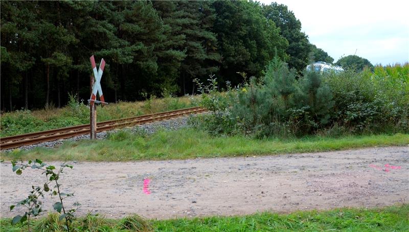 Ein „normaler“ Bahnübergang – aus dieser Perspektive ist zu erkennen, wie spät Verkehrsteilnehmer den EVB-Zug sehen können. Foto Algermissen