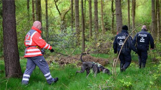 Einsatzkräfte des Deutschen Roten Kreuzes sind mit einem Suchhund in einem Waldstück im Einsatz.