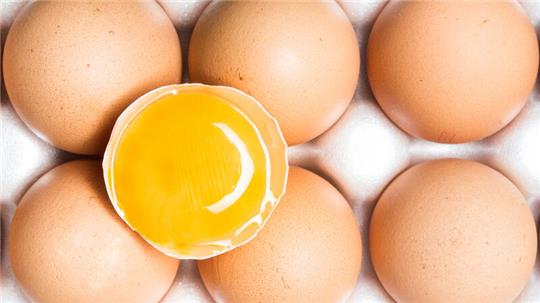 Fünf Eier-Marken erfüllten die «Öko-Test»-Kriterien am besten und erreichten das Prädikat „sehr gut“. 