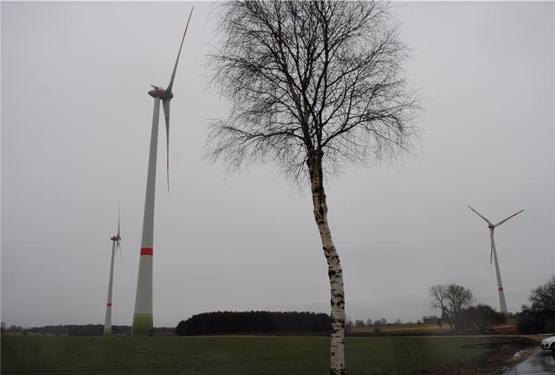 In Daensen werden zwei 193 Meter hohe Anlagen vom Typ Enercon E-115 errichtet; das Foto zeigt baugleiche Anlagen in Immenbeck. Fotos Vasel