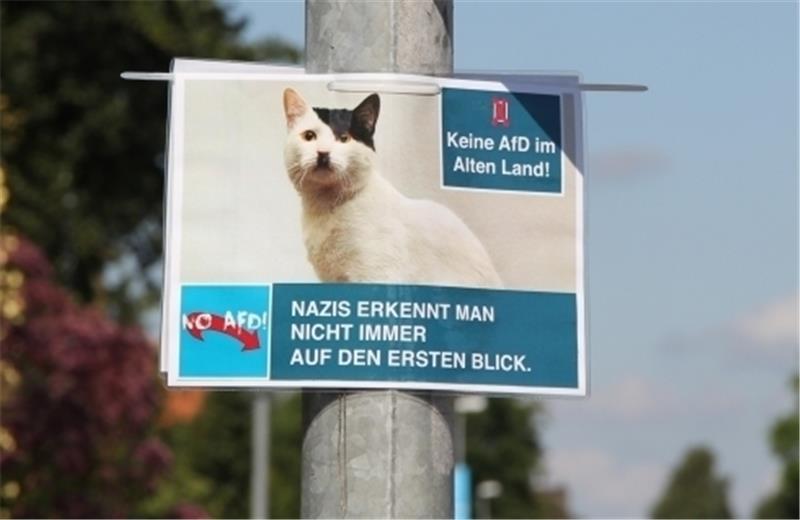 In der Samtgemeinde Lühe rufen Anti-AfD-Flugblätter die Wähler dazu auf, sich kritisch mit der Alternative für Deutschland auseinanderzusetzen. Foto Meybohm