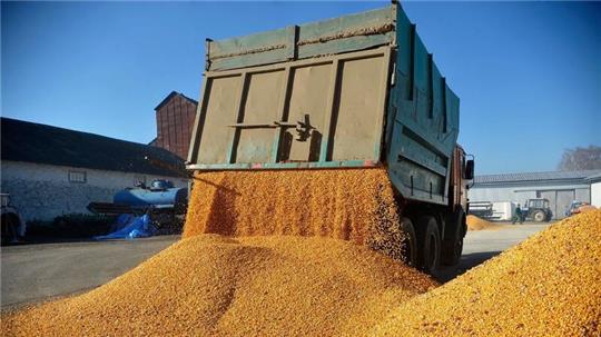 Litauen will strengere Importbeschränkungen für russische Lebensmittel.