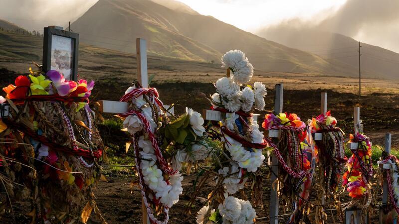 Inferno im Paradies: Jahrestag der tödlichen Brände auf Maui 102 Menschen wurden Opfer der Brände auf Maui. (Archivbild)