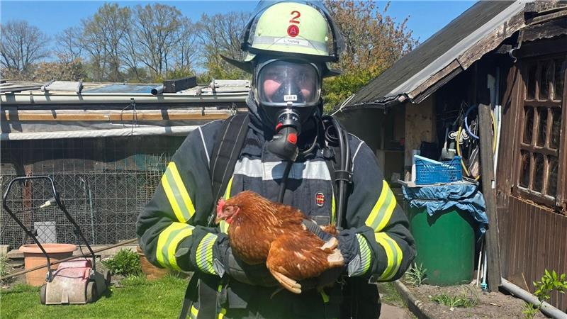  Die Einsatzkräfte in Celle retteten mehrere Hühner vor den Flammen.