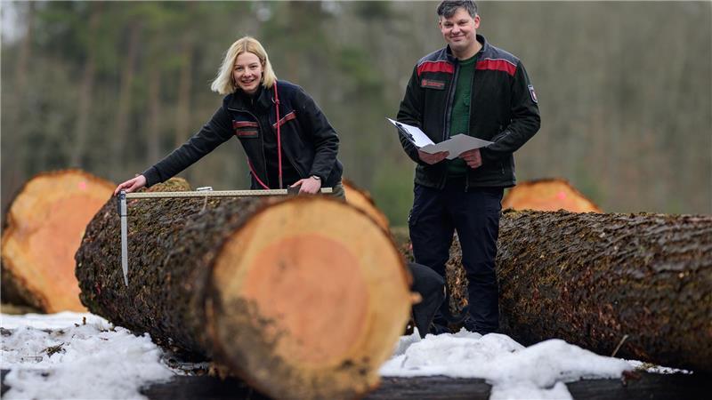  Ein Stamm einer Douglasie wird in Oerrel versteigert. 
