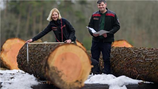  Ein Stamm einer Douglasie wird in Oerrel versteigert. 