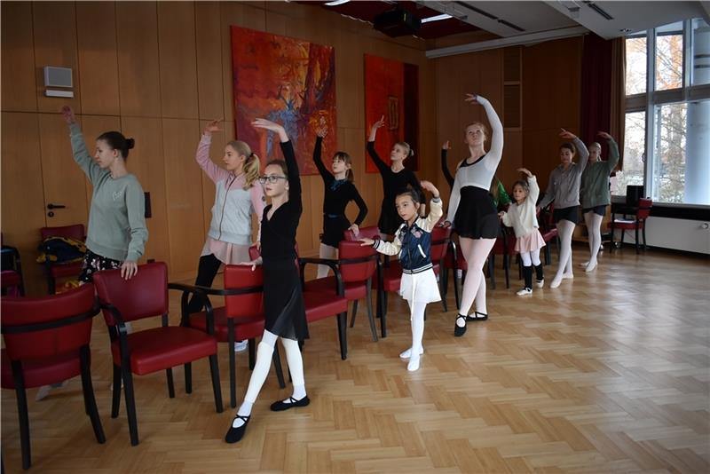 Kleine Schwäne tanzen im Stadeum . Foto: Weselmann