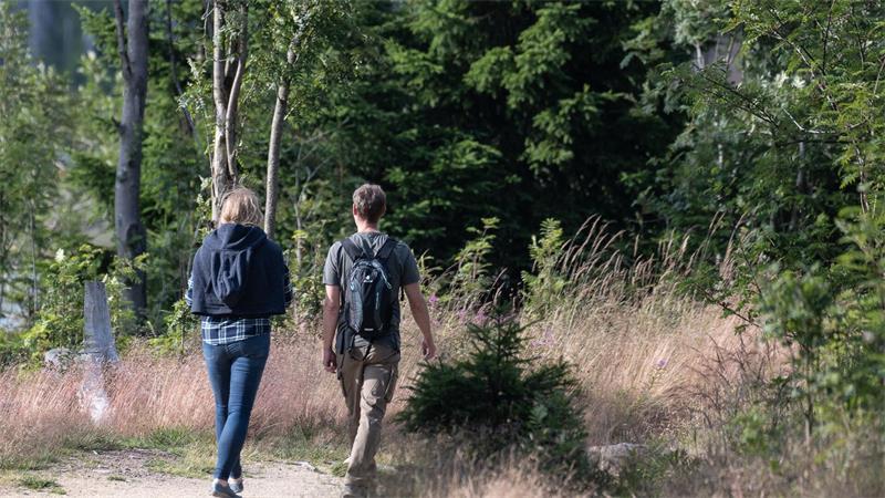 Küste, Harz, Heide: Wo es Zimmer für Kurzentschlossene gibt Gute Wetterprognosen im Harz bedeuten mehr Buchungen. (Archivbild)