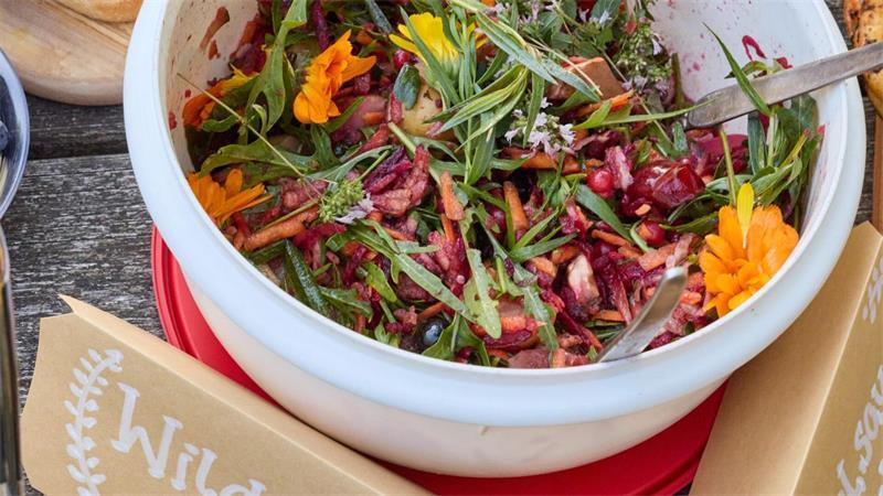  Salat aus Blüten und verschiedenen Kräutern bei Wanderung in der Heide. 