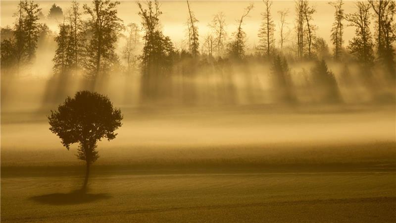  Sonnenstrahlen und Nebel am Morgen in Baden-Württemberg.