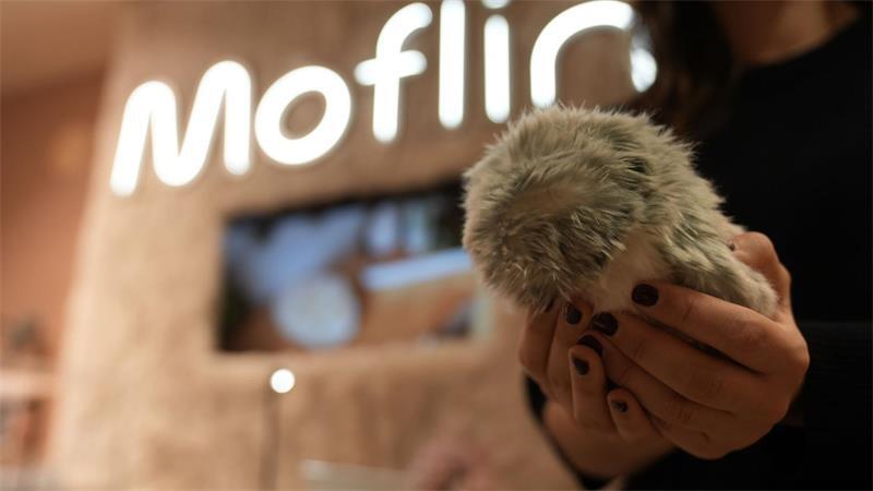 KI zum Kuscheln: Wozu sind „Moflins“ gut? Vorsichtig, schüchtern, lebhaft oder auch anhänglich - der Moflin reagiert laut Hersteller ganz unterschiedlich.