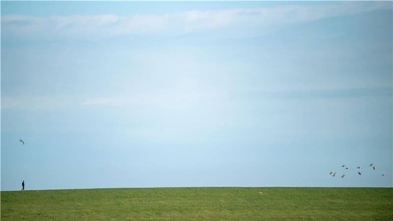 09.04.2020, Niedersachsen, Neuharlingersiel: Ein Vogelschwarm fliegt über einen Deich, auf dem ein einzelner Mann spazieren geht. Foto: Sina Schuldt/dpa +++ dpa-Bildfunk +++