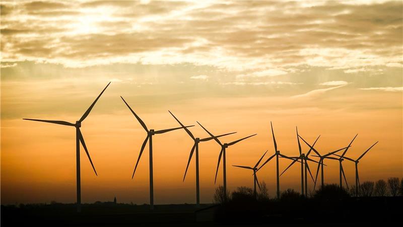 143 neue Windräder sind 2025 in Schleswig-Holstein gebaut worden. (Archivbild)