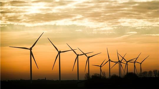 143 neue Windräder sind 2025 in Schleswig-Holstein gebaut worden. (Archivbild)
