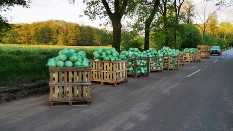16 Tonnen Kohl mussten per Hand abgeladen werden.