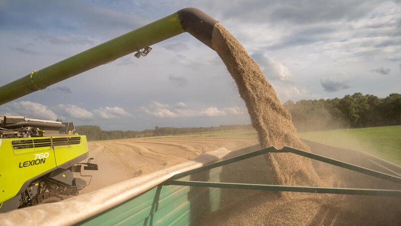 160 Liter in der Sekunde kann der Mähdrescher aus seinem 12.000-Liter-Getreidetank auf den Anhänger pumpen.