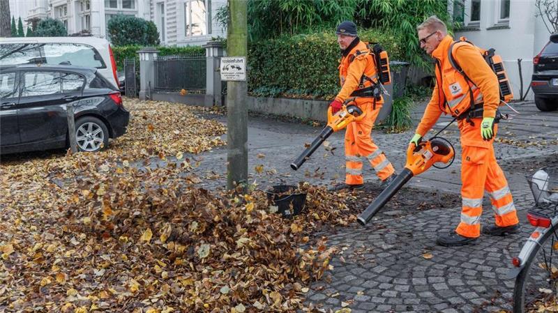 Immer wieder Streit: Nachbar soll für herübergewehtes Laub zahlen 20.000 Tonnen Laub erwartet allein die Stadtreinigung Hamburg.