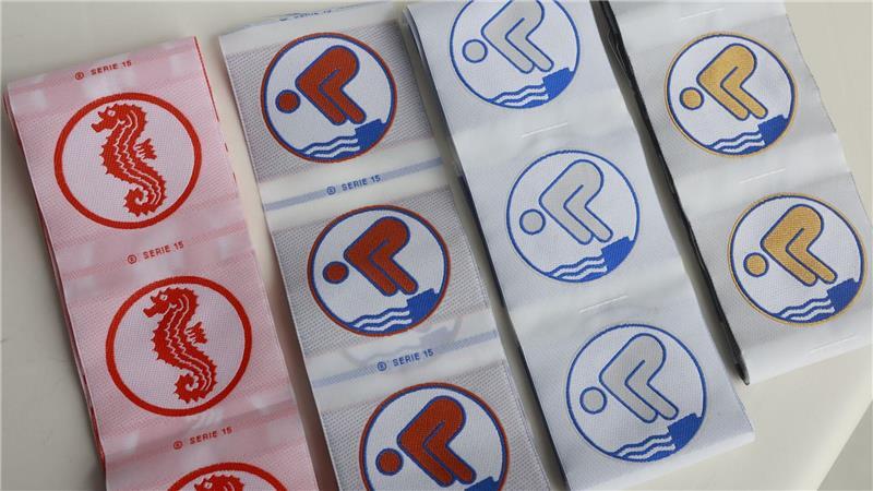 2025 gab es weniger Seepferdchen, dafür aber mehr Bronze-Abzeichen für Kinder in Schleswig-Holstein. (Symbolbild)