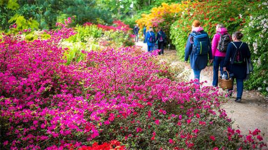 2032 soll die Landesgartenschau wieder im Park der Gärten in Bad Zwischenahn öffnen. (Archivbild)