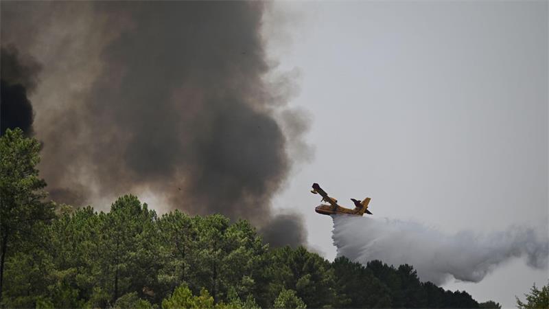 Feuer flammen immer wieder auf – „Wir kämpfen Baum um Baum“ 23 Löschflugzeuge sind in der Waldbrandregion im Einsatz.