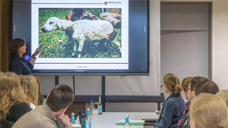 28 Experten der Veterinärämter aus dem Elbe-Weser-Dreieck und der Polizeidirektion Oldenburg haben am Mittwoch an einer Tierseuchenübung teilgenommen.