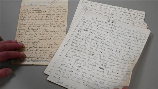 280.000 Euro werden bei einer Auktion für ein Kafka-Manuskript und einen Brief des Schriftstellers erwartet.