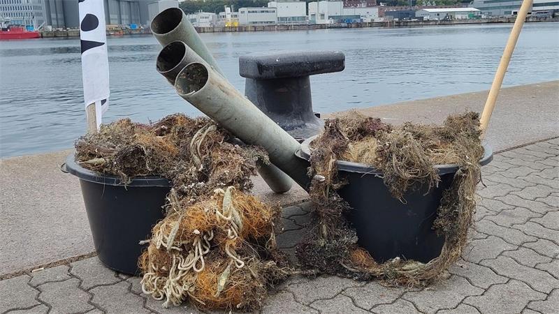 41 verloren gegangene Fischereigeräte wurden im Rahmen des Pilotprojektes geborgen - ein Teil wurde an der Kieler Förde präsentiert.