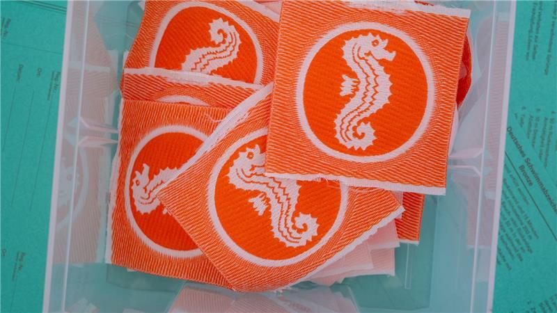 552 Mal wurde 2025 das Seepferdchen an junge Schwimm-Lehrlinge vergeben. (Symbolbild)