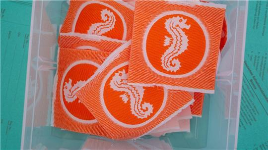 552 Mal wurde 2025 das Seepferdchen an junge Schwimm-Lehrlinge vergeben. (Symbolbild)