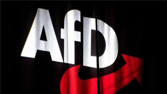 ARCHIV - Kriselt es zwischen der AfD und Marine Le Pen? Foto: Sina Schuldt/dpa