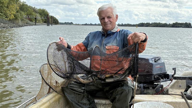 Aal in der Reuse: Elbfischer Lothar Buckow freut sich auf der Hahnöfer Nebenelbe über seinen Fang.