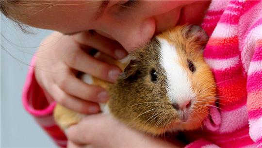 Ab 2023 auch in der neuen Kita in Buxtehude Neuland: Tiergestützte Pädagogik. Sie soll die Entwicklung der Kinder ganzheitlich fördern. Foto: Roland Weihrauch dpa/lnw/lsw