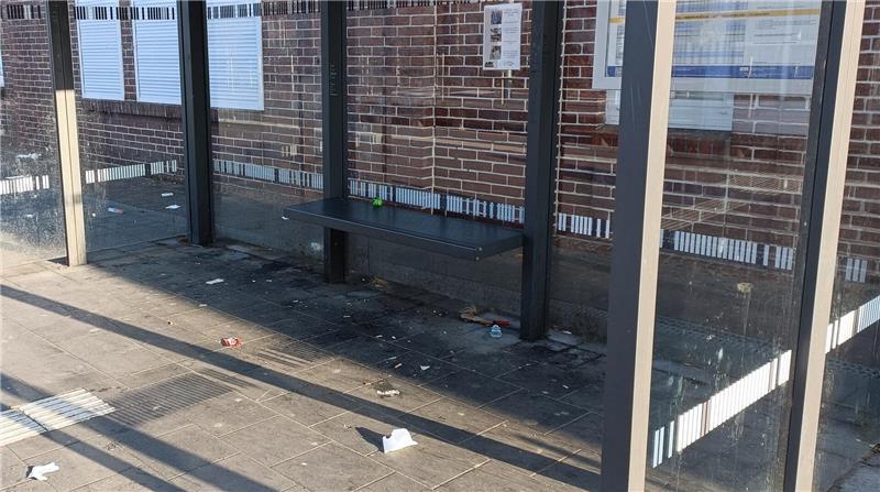 Bahnhofs-Check Harsefeld: Gutes Image mit kleinen Makeln Abfalleimer gibt es einige, trotzdem landet der Müll auf dem Boden.