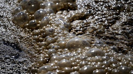 Abwasser in einer Kläranlage - wie können Kläranlagen klimaneutral werden? (Symbolbild)