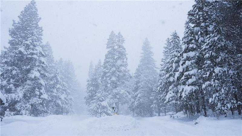 Acht zuvor vermisste Skifahrer sind nach dem Lawinenabgang tot gefunden worden - hieß es von den örtlichen Behörden.