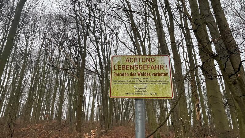 Achtung Lebensgefahr. Betreten des Waldes verboten - heißt auf den Schildern an den Eingängen zum Buchenhain.