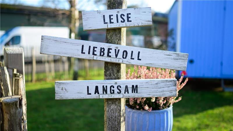 Ängste, Autismus oder Demenz - Tiere wirken beruhigend und können Patienten helfen.  (Archivbild)