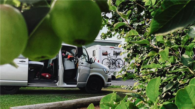 Warum der Regen-Sommer den Urlaub im Kreis Stade nicht trübt Äpfel und Elbe locken viele Wohnmobiltouristen in Alte Land, hier bei Stubbe am Lühedeich.