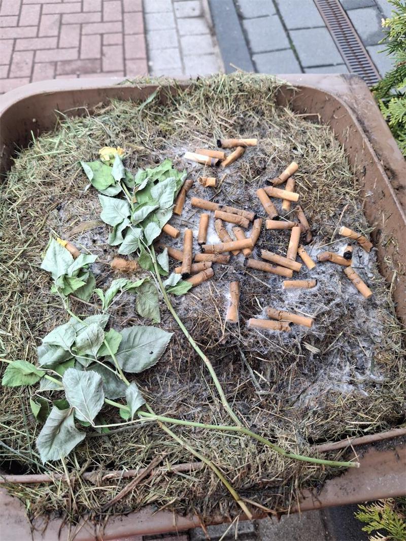 Biomüll-Kontrolle in Stade: Diese Tonnen wurden nicht geleert Ärgnis 2: Zigarettenkippen und auch Asche gehören nicht in den Biomüll.