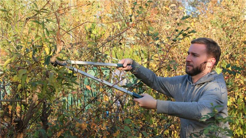 Nabu: Tipps für tierfreundliche Winterquartiere im naturnahen Garten Äste, die beim Rückschnitt von Gehölzen anfallen, sollten im Garten bleiben.