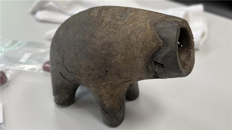 Archäologen sind der mächtigen Sachsen-Fürstin von Assel auf der Spur Äußerst selten: Das rätselhafte Tiergefäß war vielleicht ein Kultgegenstand oder eine Geschirrbeigabe.