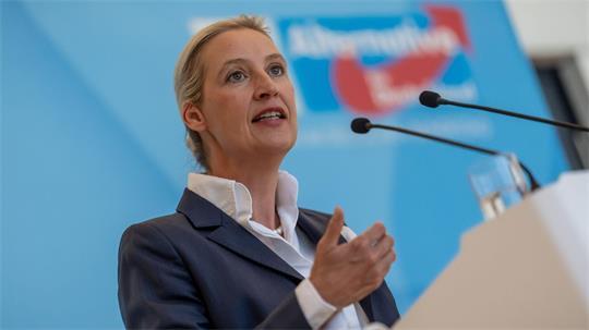 AfD-Chefin Alice Weidel bemängelt, die Empfehlungen der Rentenkommission seien nicht ausreichend.